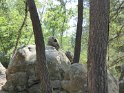 2017-06-01 15-29-23 Rando Fontainebleau CGn